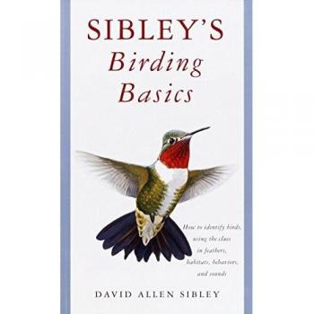 Sibley's Birding Basics