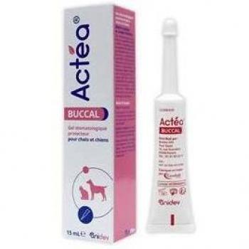 Gel Bucal Protector para Gengivas de Perros y Gatos - Actea Buccal 15ml