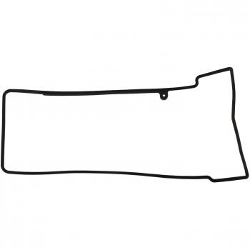 Junta Tapa de Culata Cilindro FEBI BILSTEIN 36708 NBR (Caoutchoucs Nitrile) Longitud: 493 mm