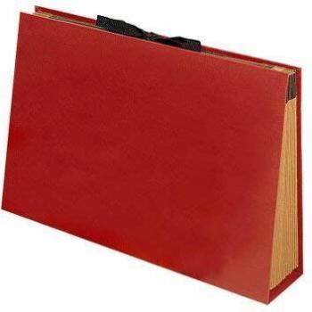 Carpeta clasificador Acordeón Fuelle Formato Folio