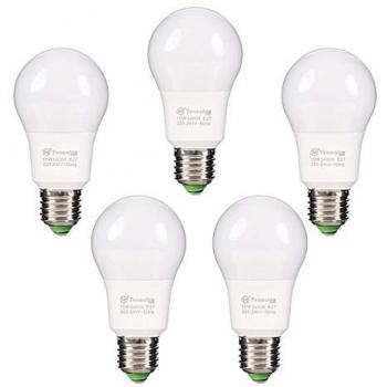 Bombilla LED A60 10W E27 luz blanca fría 6400K 800 LM (5-Unidades)