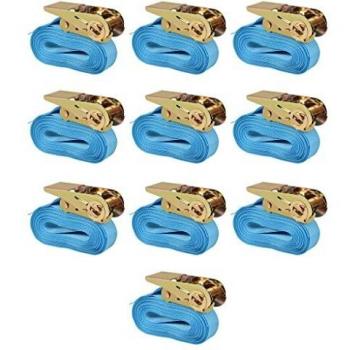 vidaXL Correas de sujeción de trinquete 10 uds 0,8 T 4mx25mm azul