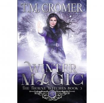 Winter Magic: Enchanting Seasonal Tales in Paperback