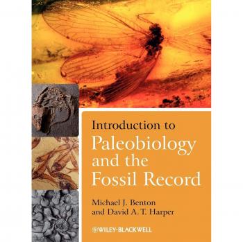 Paleobiology and Fossil Record Primer: A Comprehensive Guide