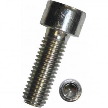Tornillo cilíndrico de cabeza hexagonal Dresselhaus 0300/001/74 6x20
