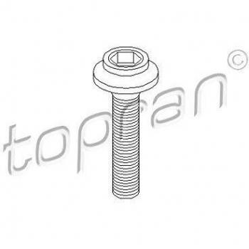 TOPRAN Tornillo brida de árbol de transmisión
