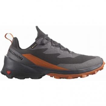 Zapatillas de montaña Salomon Cross Over 2 GTX Magnet/Phantom HO