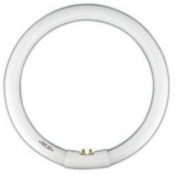 Tubo Fluorescente Circular T9 32W Luz Fría 6400K Trifósforo Electro DH 80.359/T9/32/DIA EAN 8430552130924