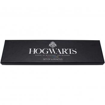 Conjunto de 6 Lápices con Goma Temática Harry Potter - Casas de Hogwarts