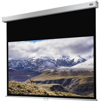 Celexon Professional Plus Pantalla de Proyección Manual 240x150cm