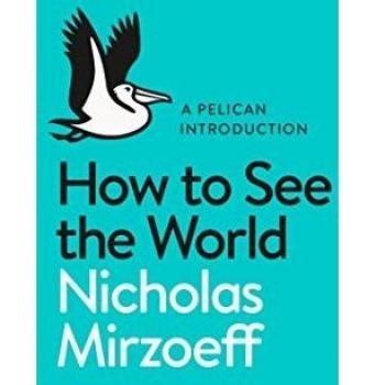 Guía Esencial: Cómo Ver el Mundo - Nicholas Mirzoeff