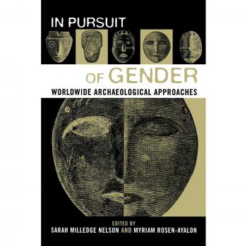 In Pursuit of Gender: Global Archaeological Perspectives on Gender Studies