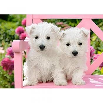 Puzzle Castorland Cachorros Terrier Blanco de 120 Piezas