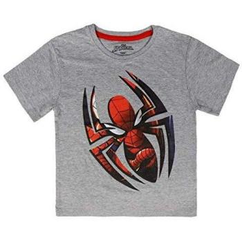 Cerdá Camiseta Manga Corta Spiderman, Gris
