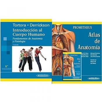 Packs: Colección Gilroy/Tortora/Gilroy fichas: Packs: Colección Gilroy/Tortora/Gilroy fichas