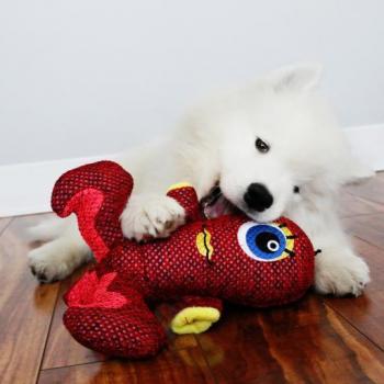 KONG Red Woozles Plush Toy for Dogs