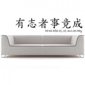 Bilderdepot24 Tatuajes de pared Simbolos chinos