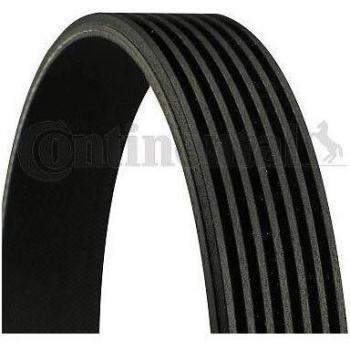 Correa acanalada en V CONTITECH 7PK1175, Correa trapecial poli V CONTITECH 7PK1175