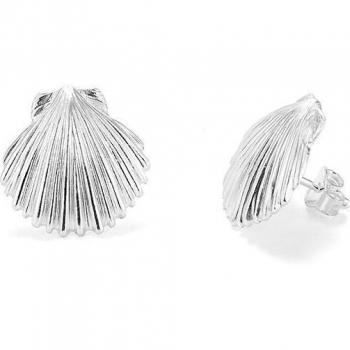 Pendientes Radiant Shell de Plata Plateado