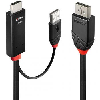 Lindy 41498 adaptador de cable de vídeo 1 m HDMI + USB Type-A DisplayPort Negro