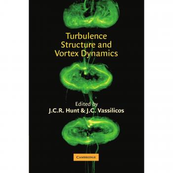 Estructura de Turbulencia y Dinámica de Vórtices