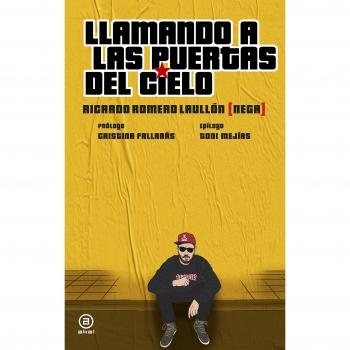 Llamando a las puertas del cielo: 15 - Ricardo Romero Laullón