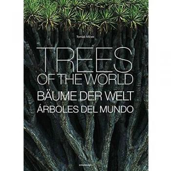 TREES