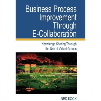 Business Process Improvement Through E-Collaboration: A Comprehensive Guide to Knowledge Sharing and Virtual Groups (Hardcover)