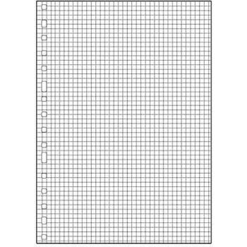 Finocam - 3005 Recambio 215 x 310 Cuadrícula
