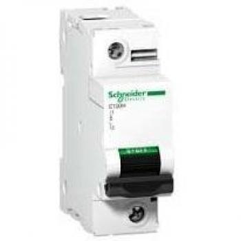 Magnetotérmico Schneider Electric Acti9 C120H 1P 80A C 15000A 240/415V A9N18446