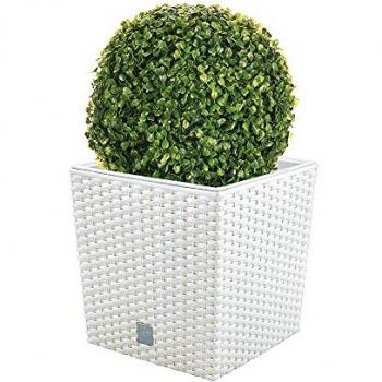 Wellhome Set de Maceta Rato 32 Litros con Cubilete y Bola de Boj para Interior y Exterior, color blanco, dimensiones 33 x 33 x 33 cm, incluye cubilete y bola de boj diámetro