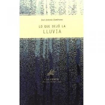 Lo que dejó la lluvia