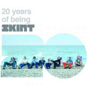 20 Years of Being Skint - Vinyl Box Set (Various Artists)