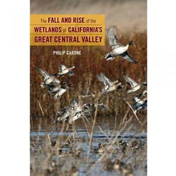 California's Great Central Valley Wetlands: A Comprehensive Study of Their Fall and Rise