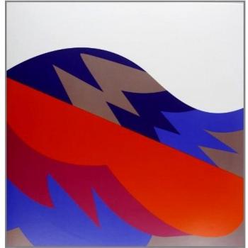 Fiery Furnaces - Remember Limited Edition Vinyl with Download Coupon