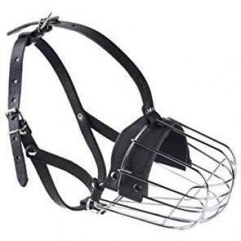 Julius-K9 Bozal de Metal para Dobermann, Staffordshire Terrier, Caniche, Schnauzer
