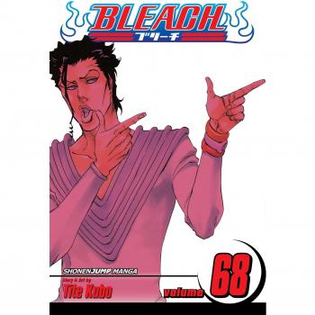 Bleach, Vol. 68: The Ordinary Peace: Volume 68