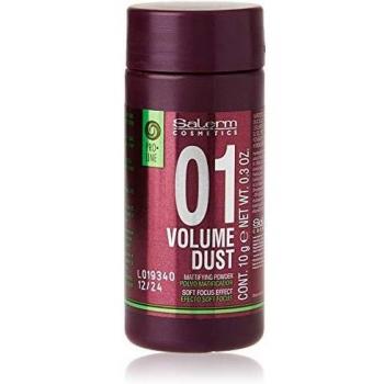 Salerm Cosmetics Volume Dust Polvo Matificador - 10 gr