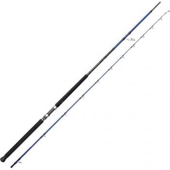 Caña de Spinning Savage Gear SGS6 Shore Jigging 3.05m 60-150g 2 Tramos