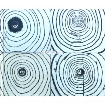 Martin Assig: La Presa / Die Beute. Obras 1995-2008
