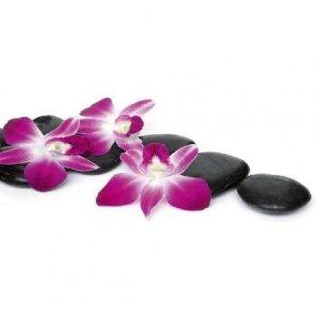 Eurographics Deco Glass Tranquility - Cuadro decorativo de cristal