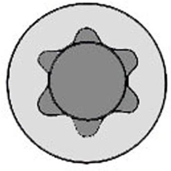 Reinz 14-32139-01 DANA