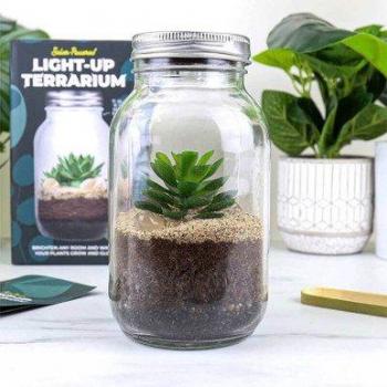 Solar-Powered Light-Up Terrarium