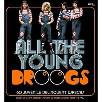 All the Young Droogs: 60 Juvenile Delinquent Wrecks 3CD Boxset