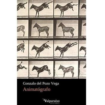 ANIMATÓGRAFO: 193