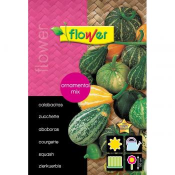 Semillas mix calabacitas