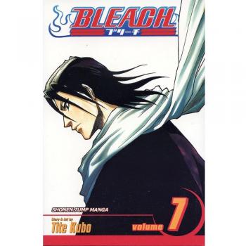 Bleach: v. 7