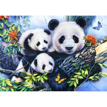 Puzzle Bluebird - Familia de pandas, 1000 piezas (70079)