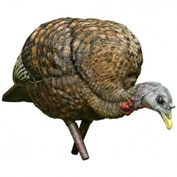 Avian-X LCD Feeder Hen Collapsible Turkey Decoy