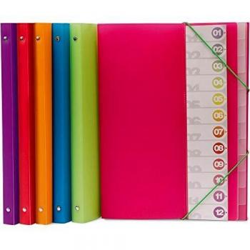 Grafoplás Carpeta Clasificadora 12 Posiciones Folio Translúcido Polipropileno, Verde
